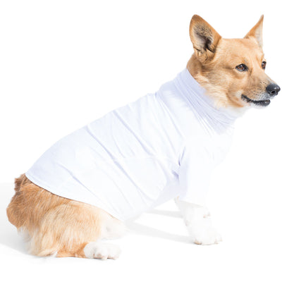 Dog Sun Shirt - White (Made in USA) PlayaPup