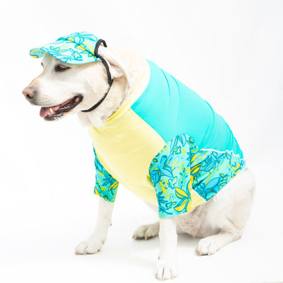 Dog Visor Sun Hat - Lemon PlayaPup
