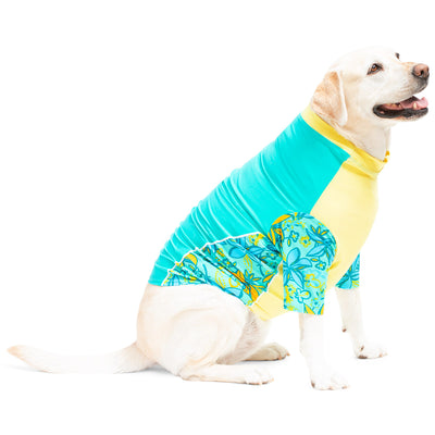 Dog Sun Shirt - Lemon PlayaPup