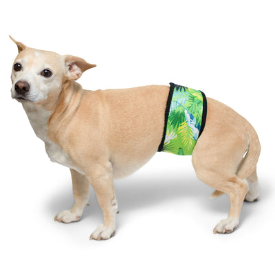 Dog Belly Band - Tropical Treasure Green PlayaPup
