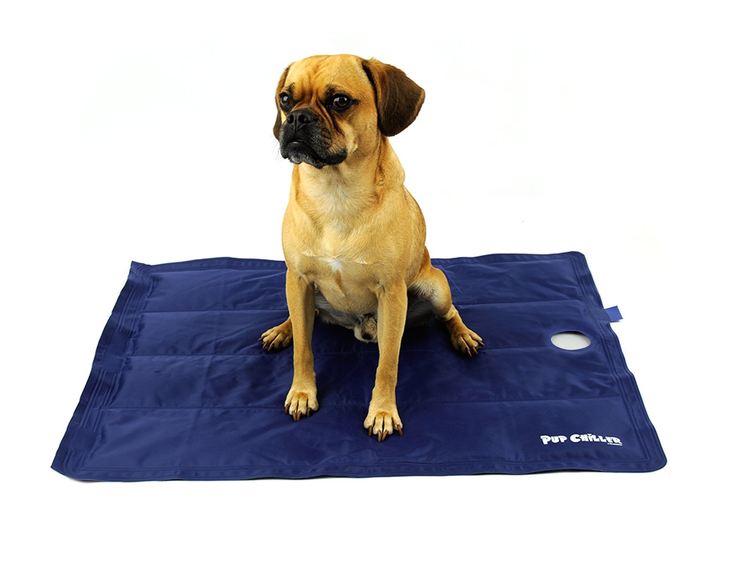 Chillr dog 2025 cooling mat